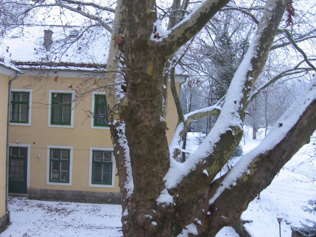 Mater Salvatoris House Ξενοδοχείο Gödöllő Εξωτερικό φωτογραφία
